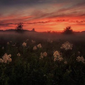 174美女极品粉嫩美鲍
